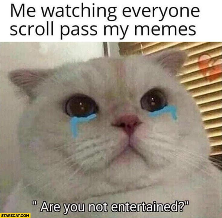 The Very Best Crying Cat Memes | Plus Sad Cat Meaning & Backstory